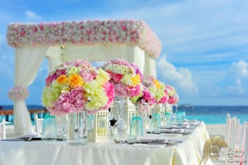 Dj Hochzeit Mecklenburg Vorpommern